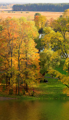autumn landscape in moscow