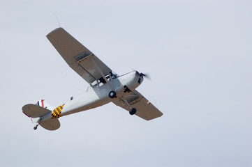 cessna bird dog