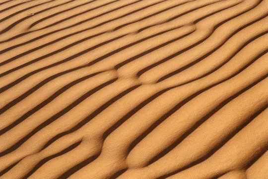 sand dune rib