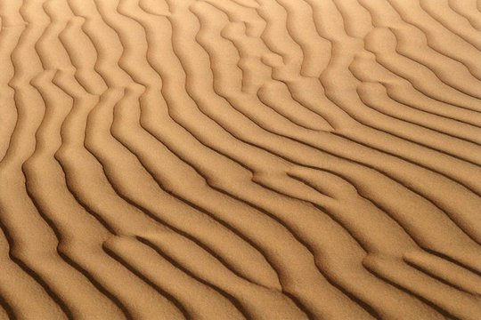sand dune ribs