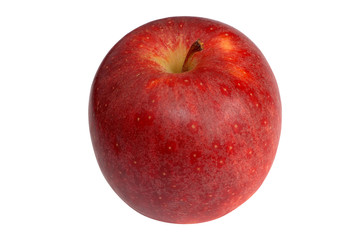 pomme gala