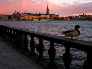 estocolmo al atardecer