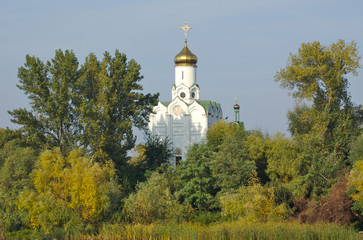 church in trees
