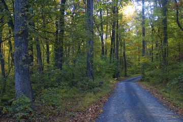Fototapeta premium backroad october