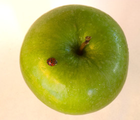 granny smith apple