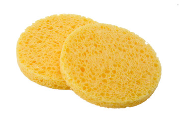 facial sponge