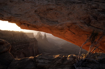 mesa arch2