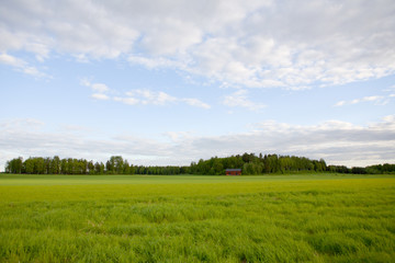 Obraz na płótnie Canvas rural landscape
