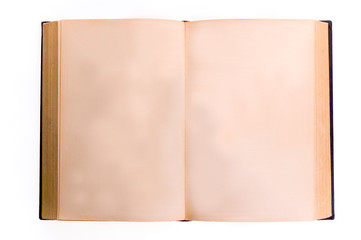 old book with blank pages