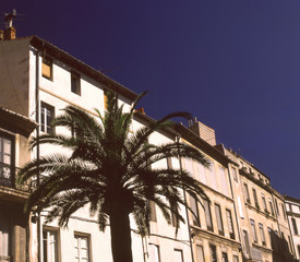 southern france