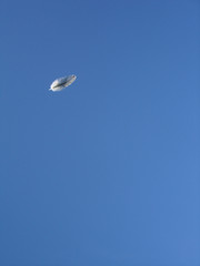 feder im wind 3