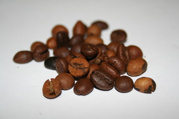 coffee corns