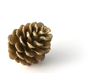 pine cone