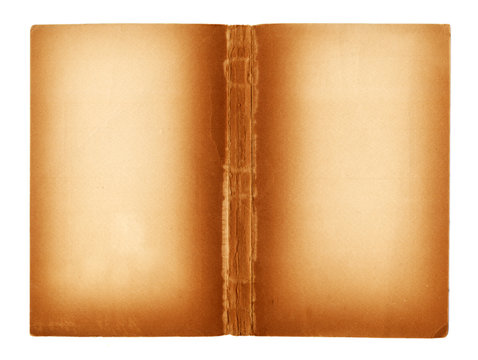 blank pages of an ancient book