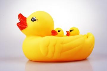 rubber duck