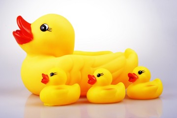 rubber duck