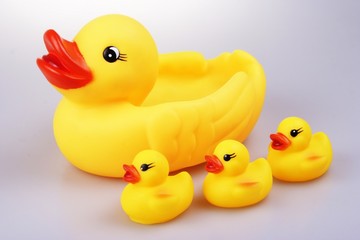 rubber duck