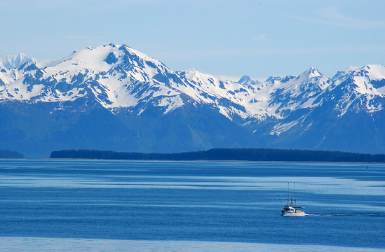arctic wilderness