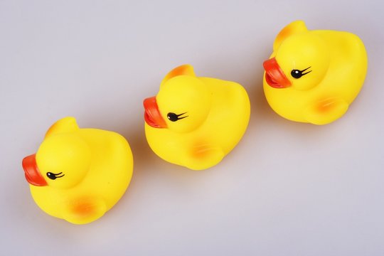 rubber duck