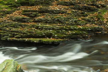 flowing stream with moss covered rocks