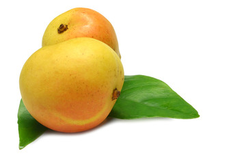 two mangoes