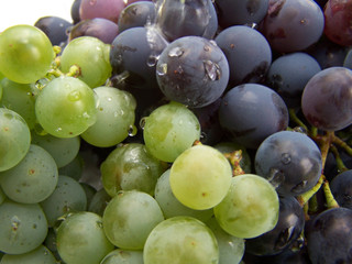 grapes
