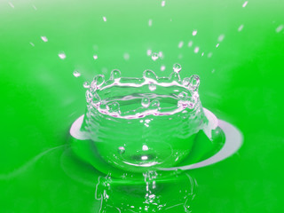 green water bowl