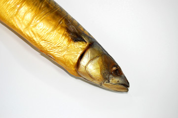 makrele rumpf