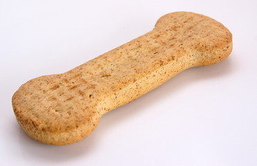 dog biscuit