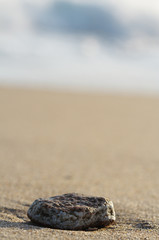Fototapeta na wymiar piedra en la orilla del mar
