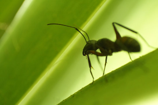 la busqueda de la luz