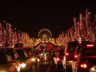 Obraz premium champs elysees