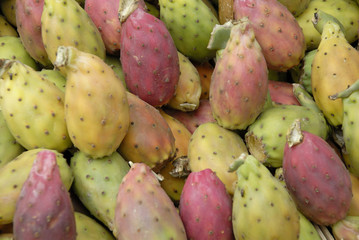 prickly pear