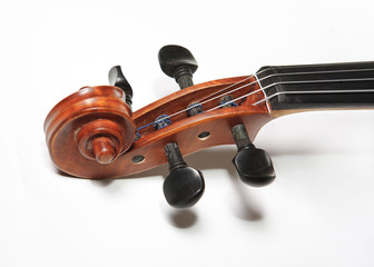 violins grif