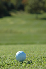 golf ball on the course