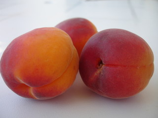 abricots
