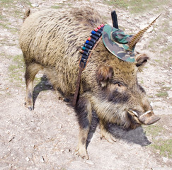 scarecrow of a wild boar