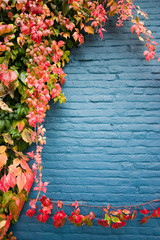 autumn leaves on wall