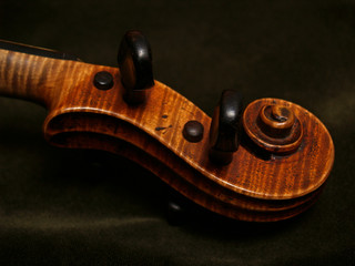 violin scroll, neck, and pegs on green velvet