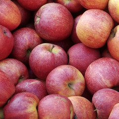 apfel_2