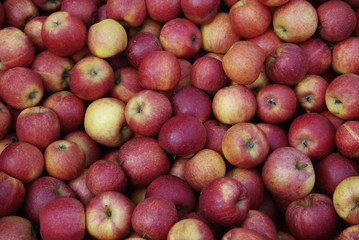 apfel_1