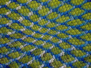 blue and green lizard skin background