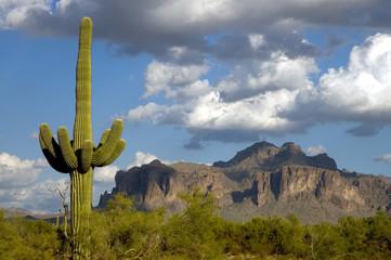 superstition mountains1