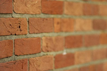 brick wall