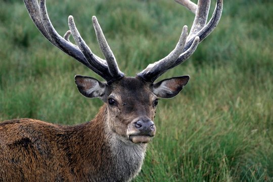 parc animalier