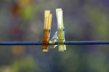 clothes-pegs