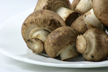 chestnut mushrooms