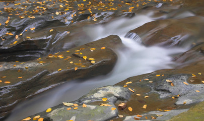 rapids and rocks