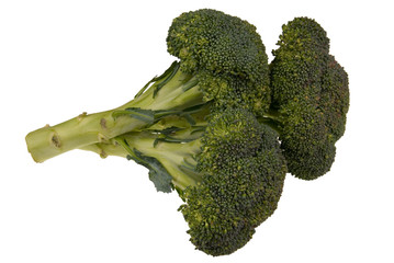 broccolli on white