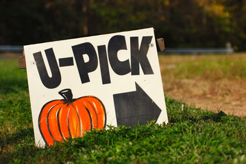 roadside pumpkin sign